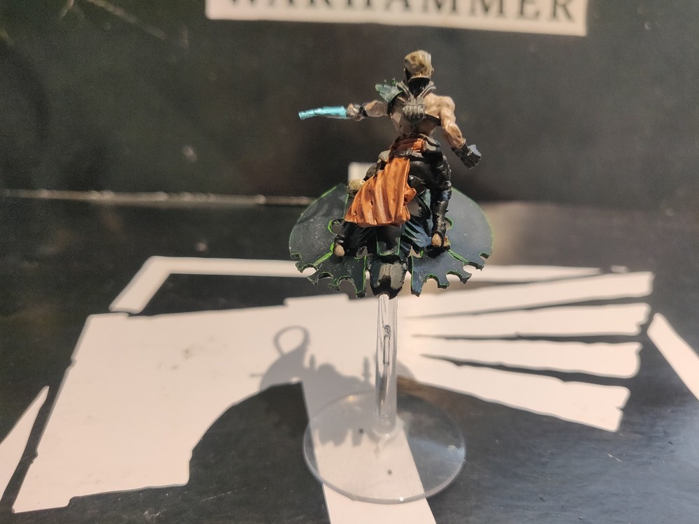 Warhammer 40k Dark Eldar Drukhari Beastmaster