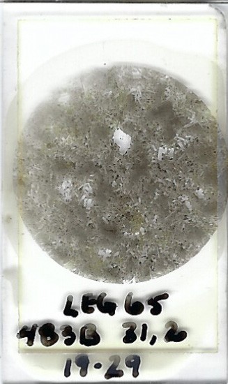 Thin-section Mount from DSDP Hole 483B Petrographic Microscope Slide 483B-31-2