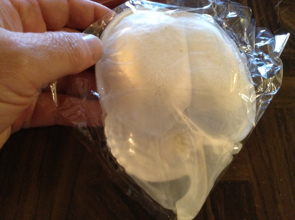 Small genuine silverplated apple dish