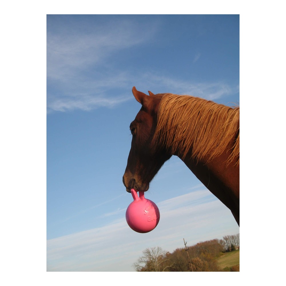 Jolly Ball