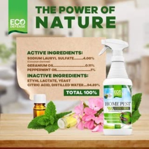 Safe Home Bug Control - Natural Ant, Roach, Spider Repellent