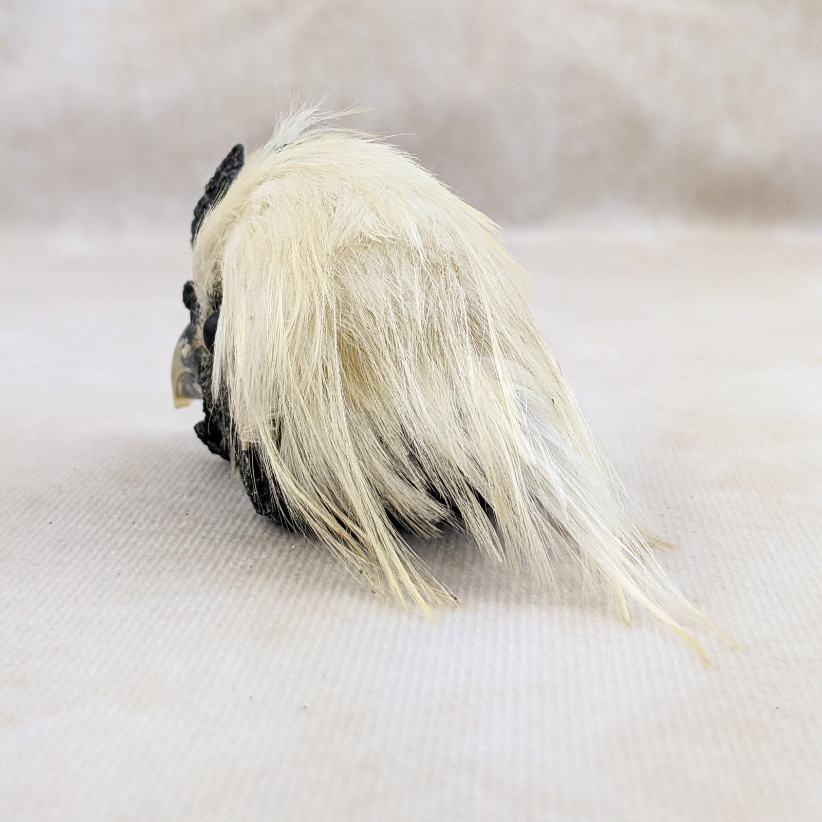 Chicken Rooster head Mount LG specimen crafts crafting Oddity Curiosity specim