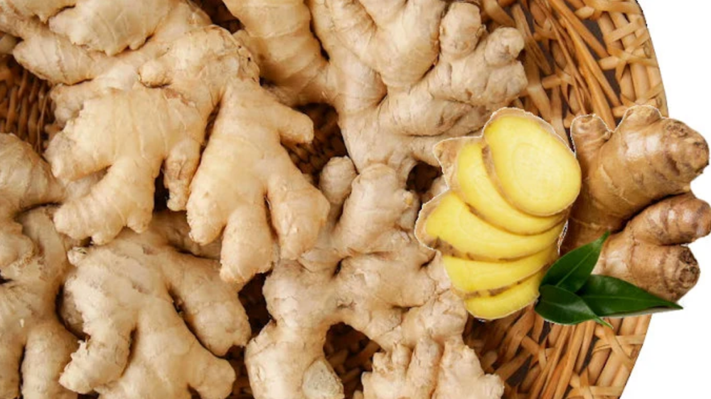 0.5- 7 Ibs - Fresh Ginger Root Organic USDA Certified