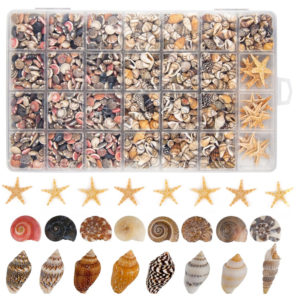 1200 PCS Tiny Seashells& 21 Starfish Mixed Bulk Beach Small Shells for Home Deco