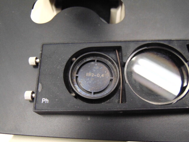 ZEISS AXIOVERT 25 INVERTED TRANSMITTED LIGHT MICROSCOPE W/ HAL. 6V / 30W LIGHT