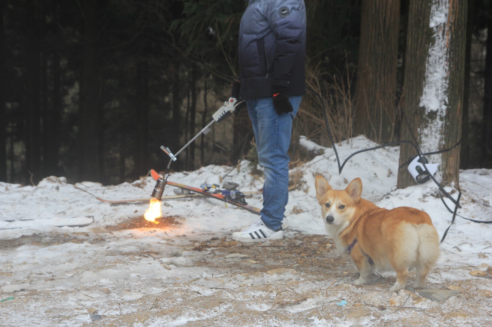Propane Torch Weed Burner Kit with Battery Electric Pulse Ignition Flame Thrower