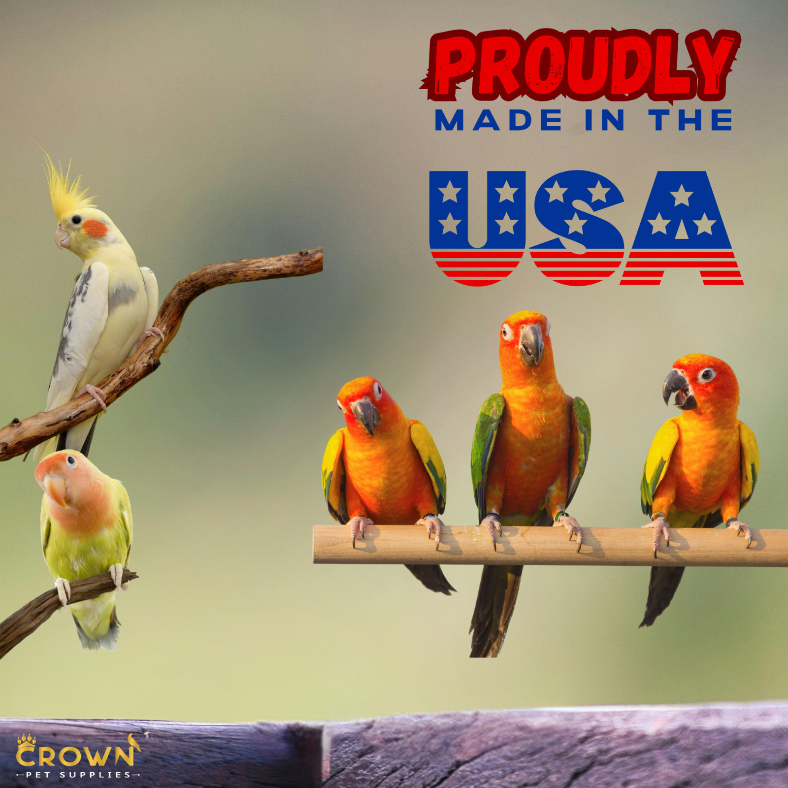 Probiotic Parrots Powder, Diarrhea, Nutrition, Growth & Immunity For Birds