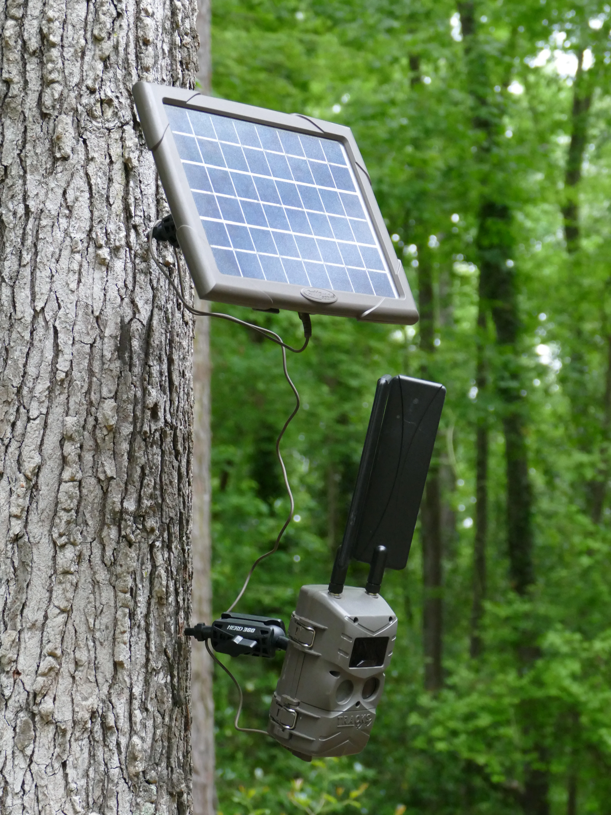 Tree Mount for Trail Camera Dual Ball Swivel