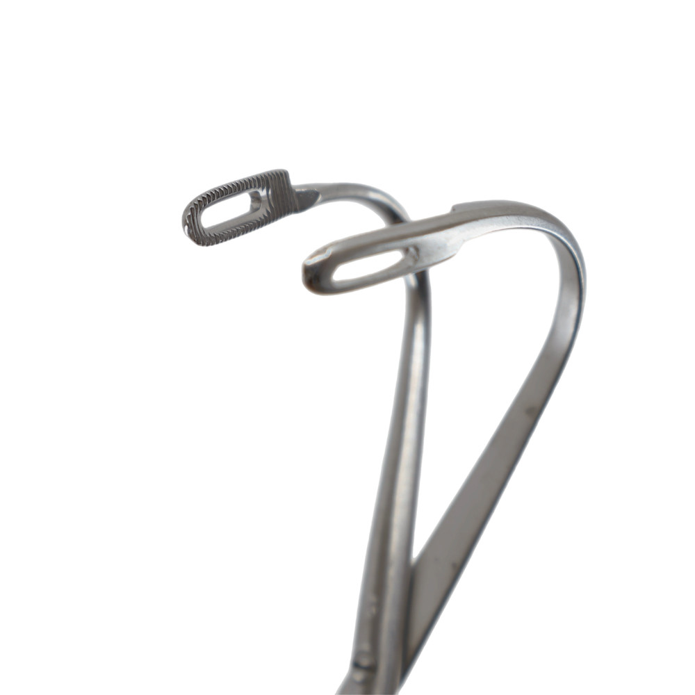 KNY-Scheerer Randall Stone Forceps, 1/2 Curve, 7.75" | C5