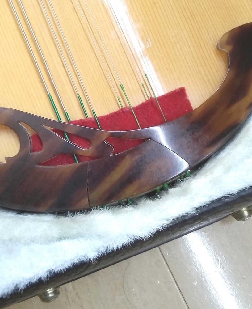 RAFFAELE CALACE CLASSICO C Mandolin