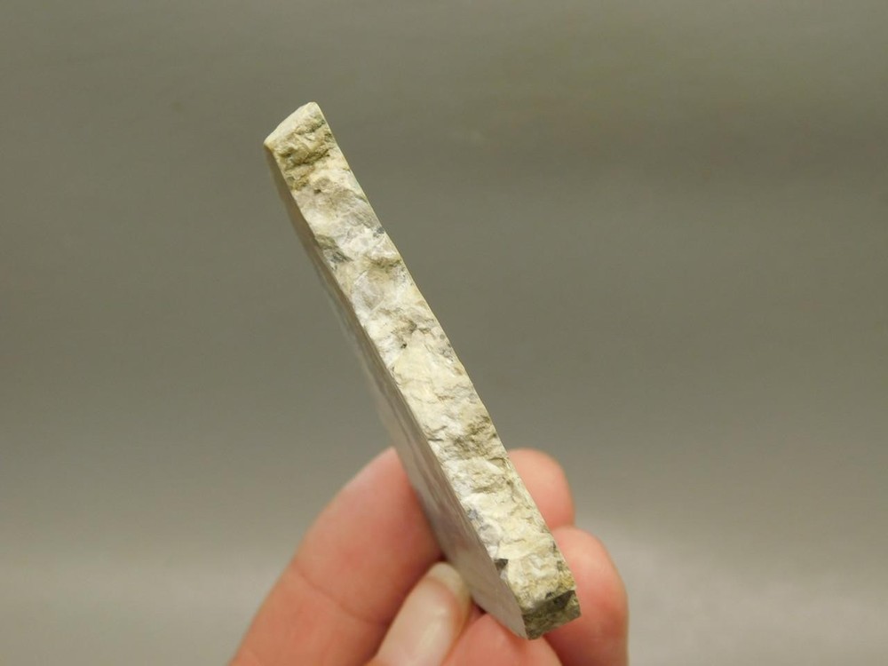 Cotham Marble Fossil Small Polished Stone Slab Stromatolite #O7