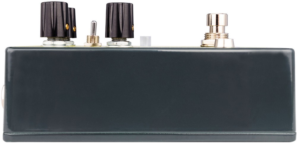 Earthquaker Devices Ledges Tr-Dimensional Reverberation Machine