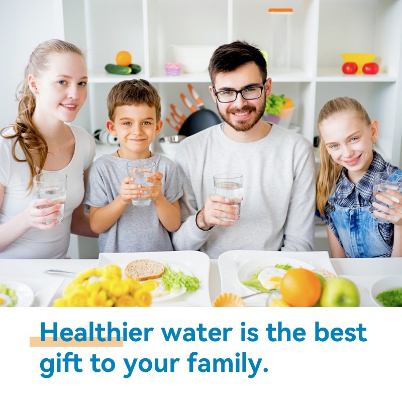 4 PACK for Samsung DA97-17376B HAF-QIN/EXP REFRIGERATOR Water Filter DA97-08006C