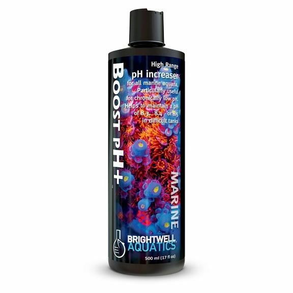 Boost pH+ Increaser (2 L) - Brightwell