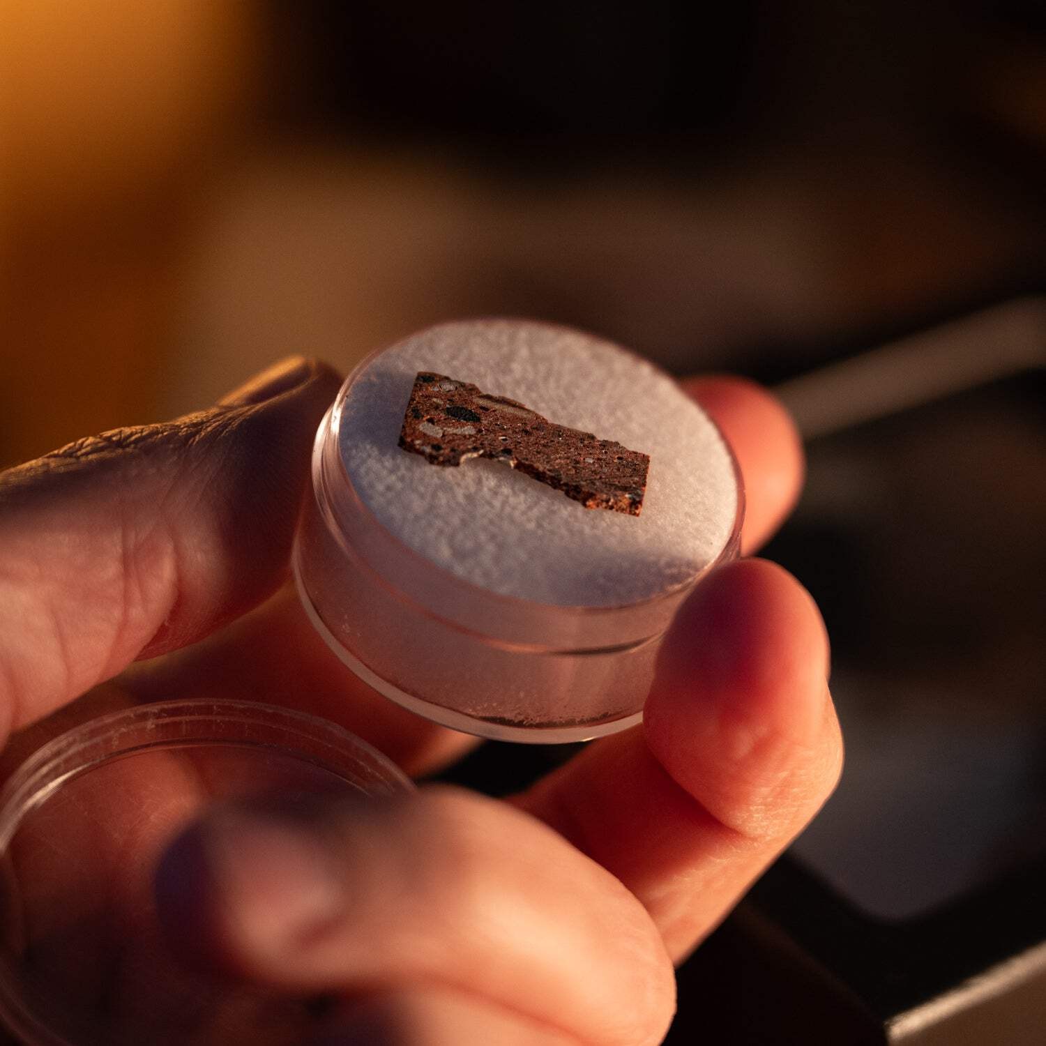 Al Capone HQ - Lexington Hotel Brick Fragment