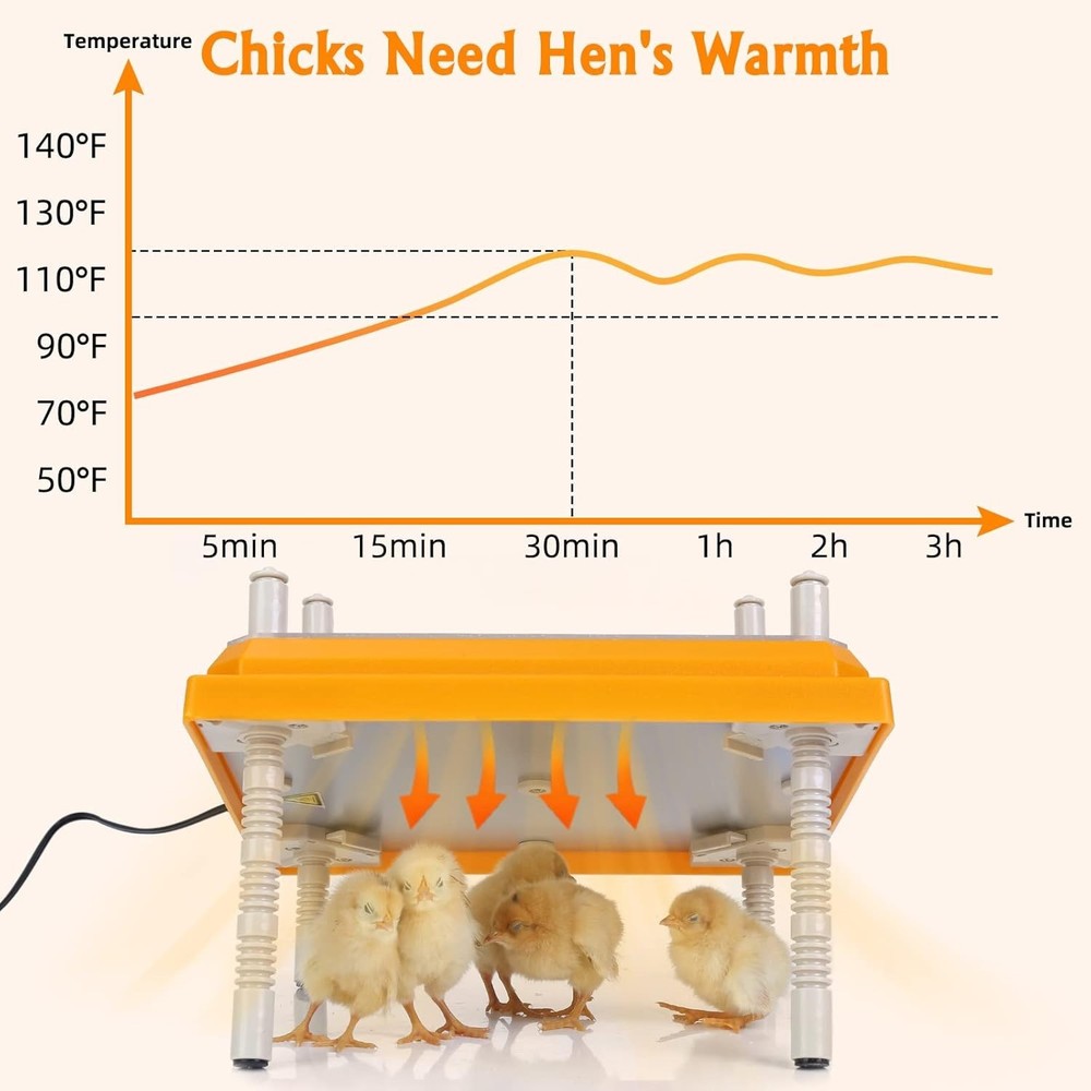 Durable Brooder Heater for Chicks - Height Adjustable & Effortlessly Clean 10x10