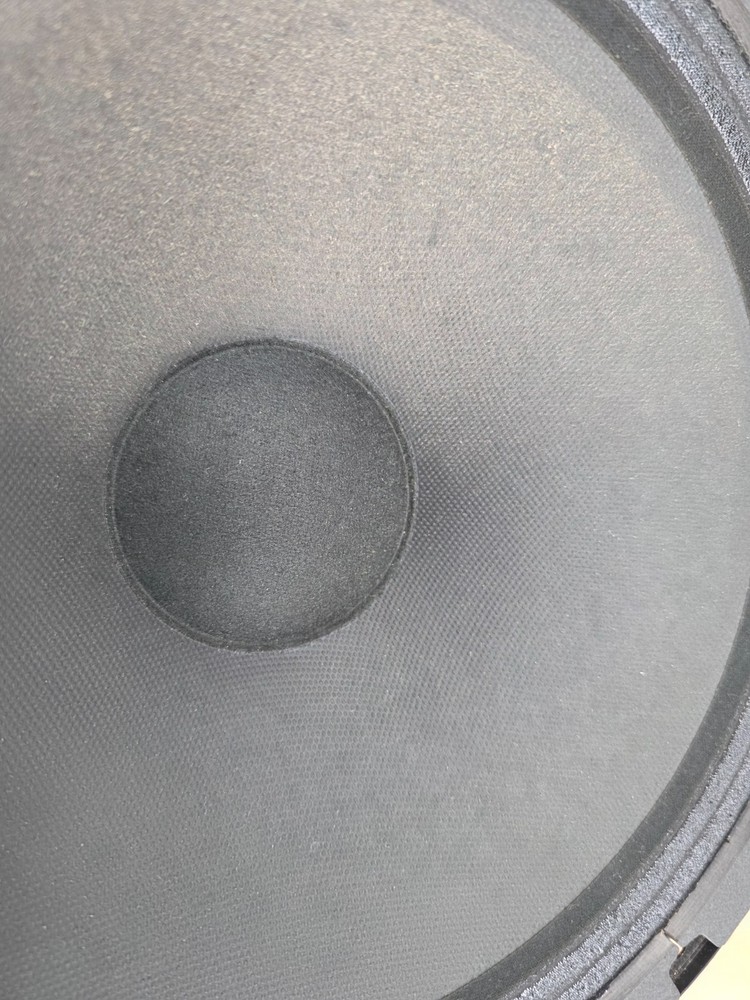 PEAVEY 10 INCH SPEAKER FROM MINX 110 AMp