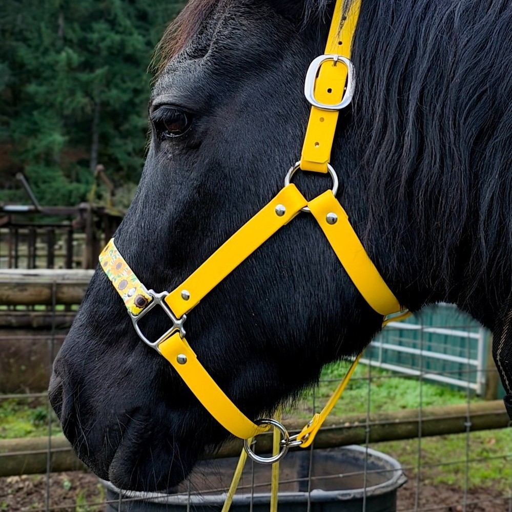 Biothane Horse Halter - Sunflowers