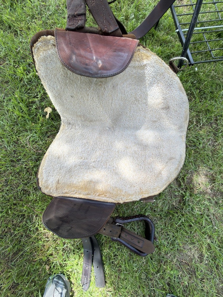 Bob Marshall Treeless Saddle 15 Inch Good Condition