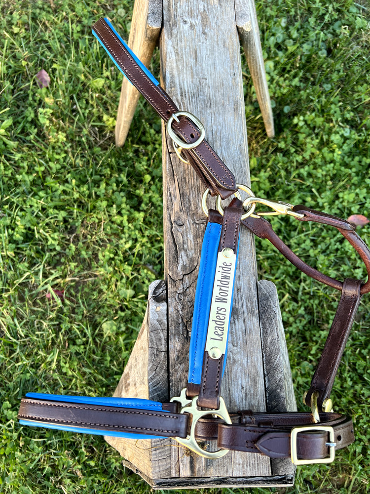 Leaders 3/4" Leather Halter Royal Blue Padding with Solid Brass Hardware