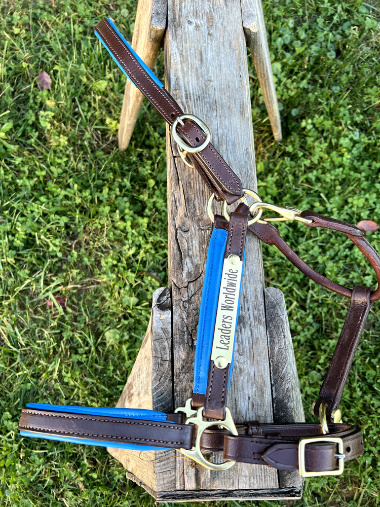 Leaders 3/4" Leather Halter Royal Blue Padding with Solid Brass Hardware