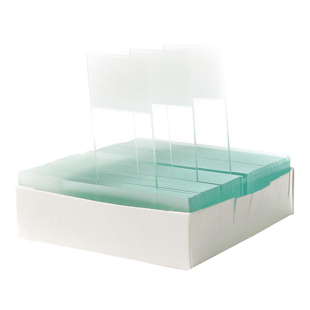 GRAINGER APPROVED 20F867 Microscope Slide,90Corner,Frosted,PK72 20F867