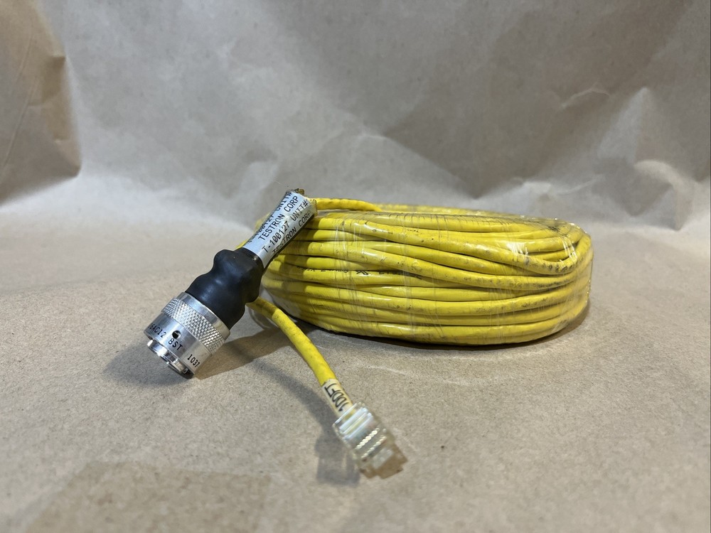 New Testron Corp 100127
