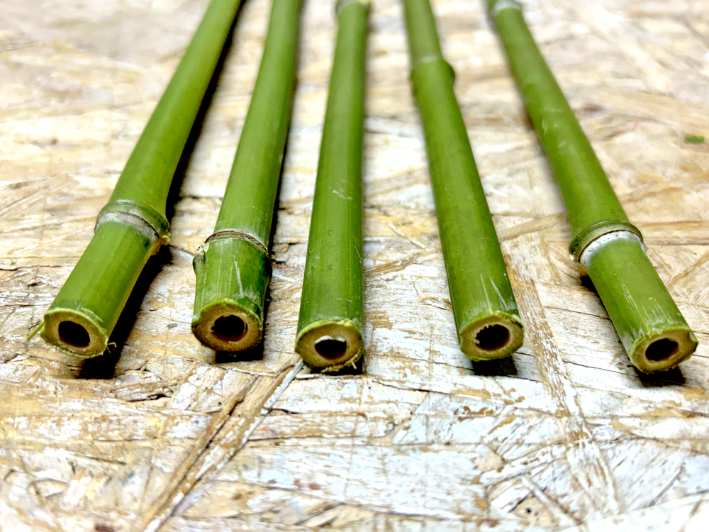 5PCS 1/2" Diameter Fresh Cut Natural Bamboo For Decor 12"