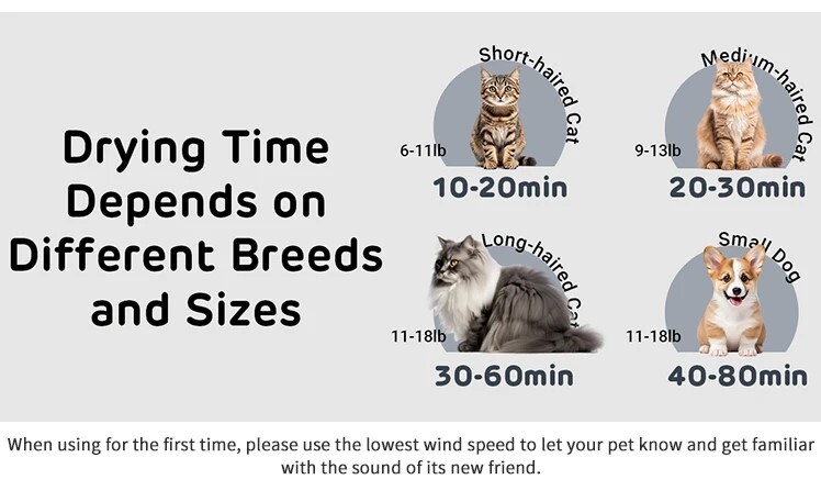 Intelligent Pet Drying Box Sterilization Folding Automatic Cat Drying Machine