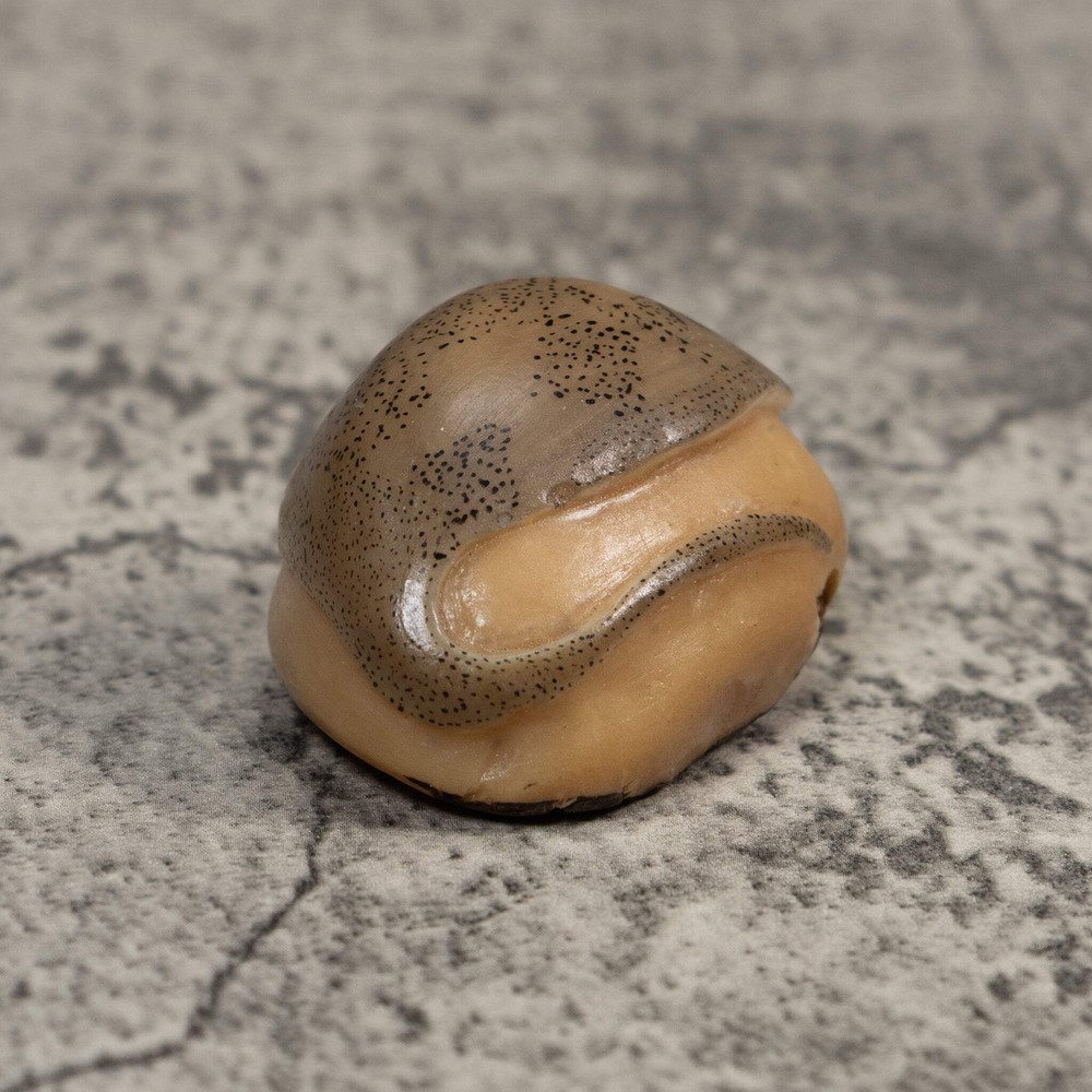 Vintage Ocean Stingray Tagua Carving