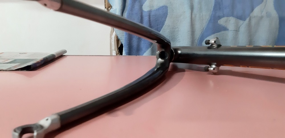 Trek Series 5500 OCLV Carbon Racing Frame