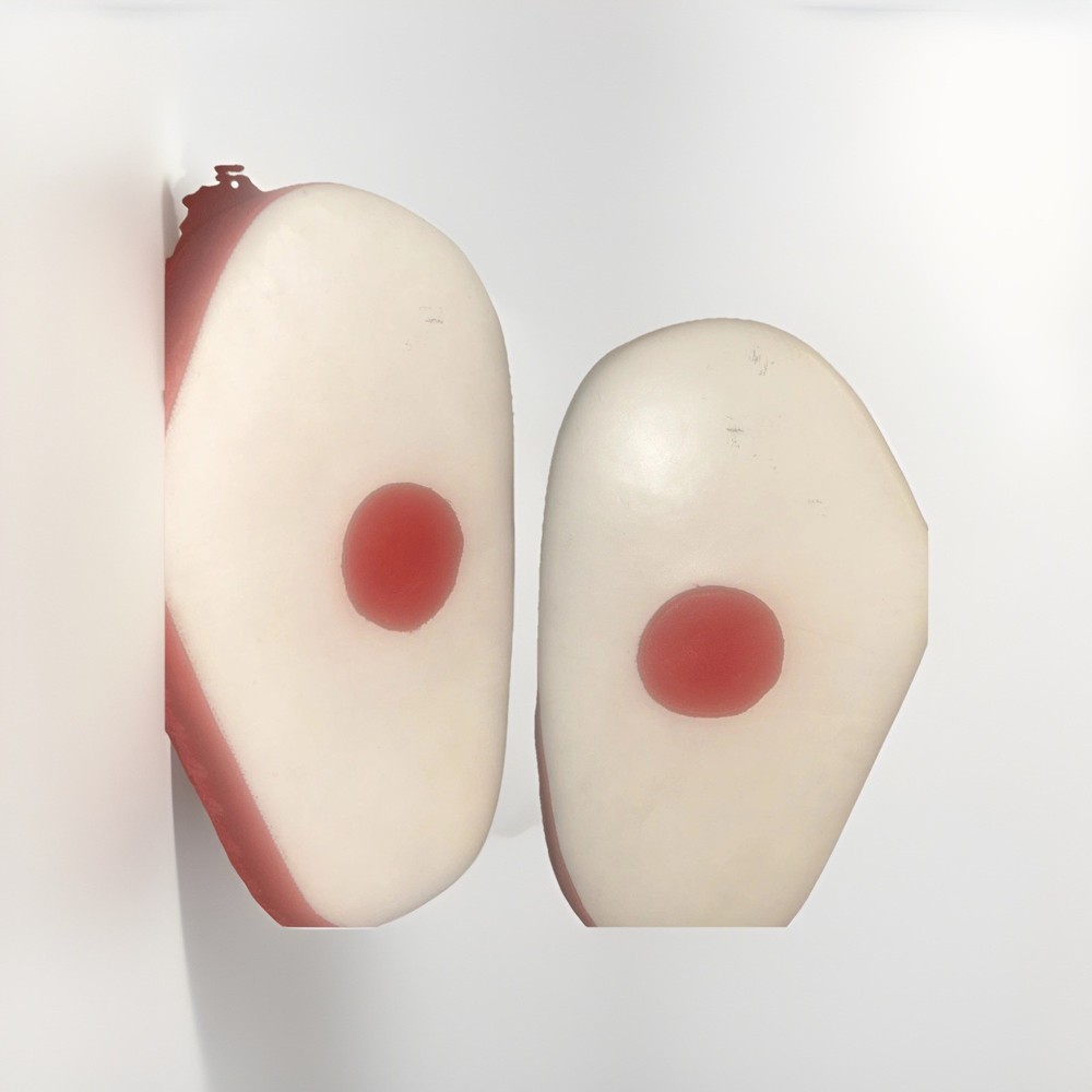 DANRHO Focus Punching Mitt