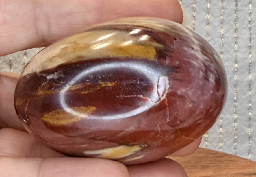 Petrified Wood Palmstone
