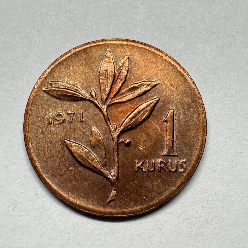1971 Turkey 1 Kurus - Coin #C-006