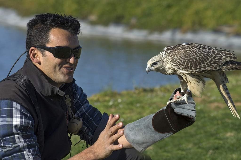 Animal Handling Gloves Bite Proof Double Leather Reinforced Padding Dog,Cat Scra