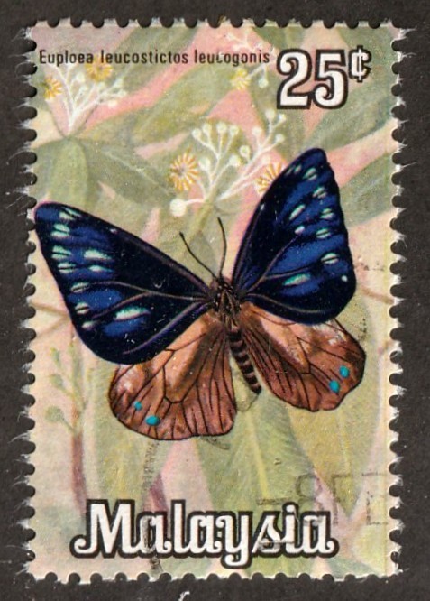Malaysia         66           used