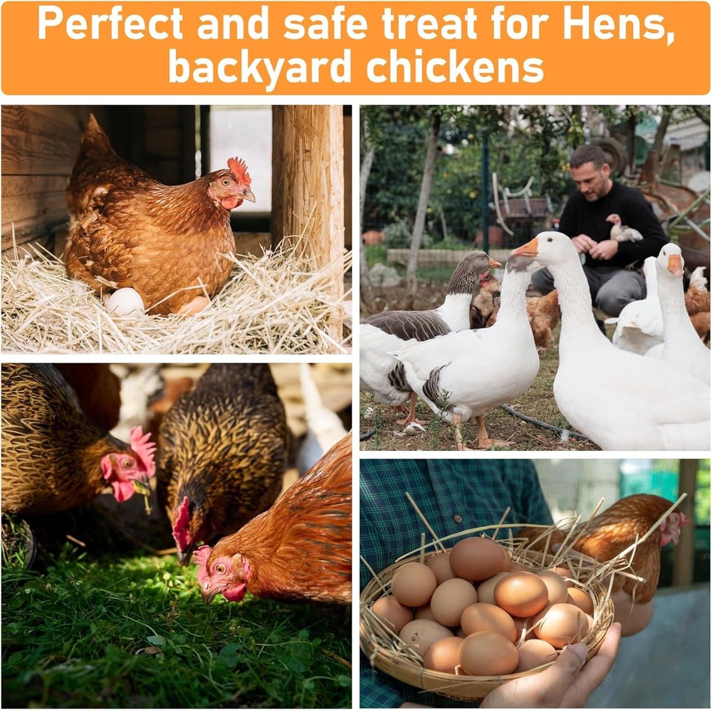 10oz Dried Chicken Nesting Herbs Layer Feed