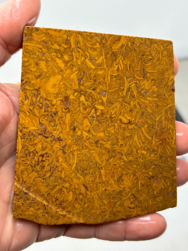 Script Stone Jasper Slab Cabbing Lapidary Collecting Combo Ship Avail