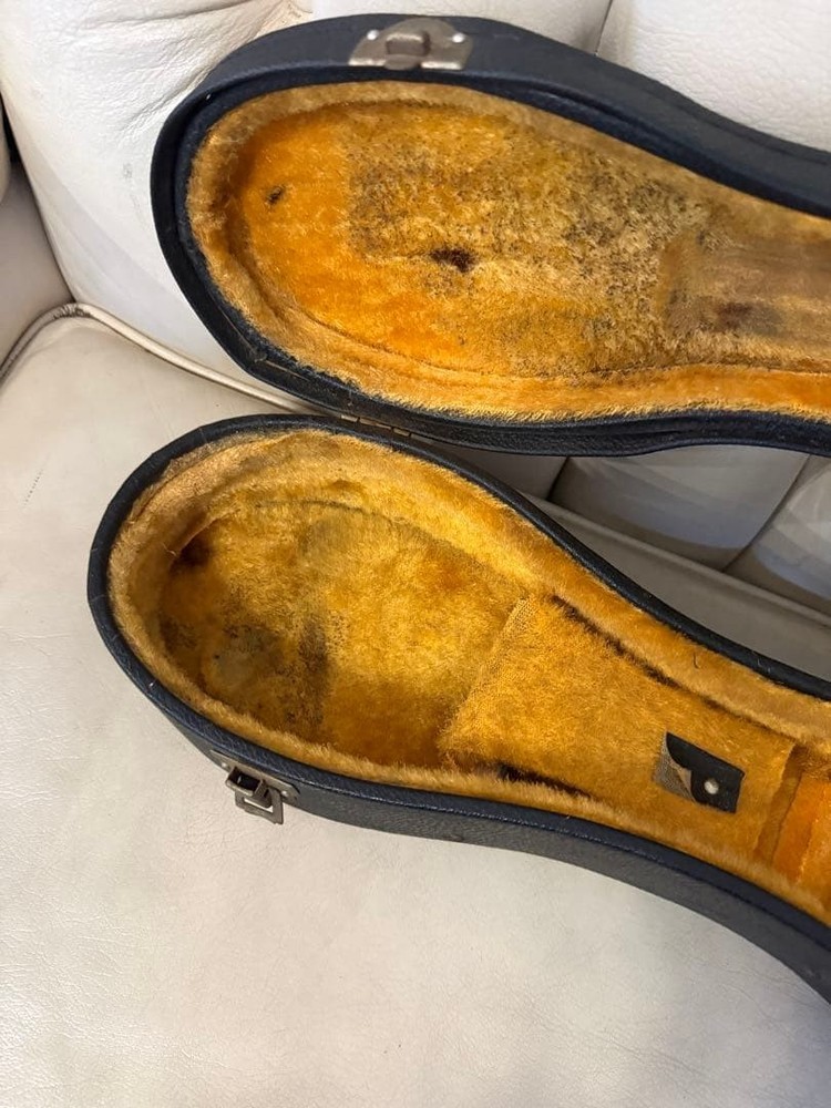 78: Mandolin Spruce body 8 strings