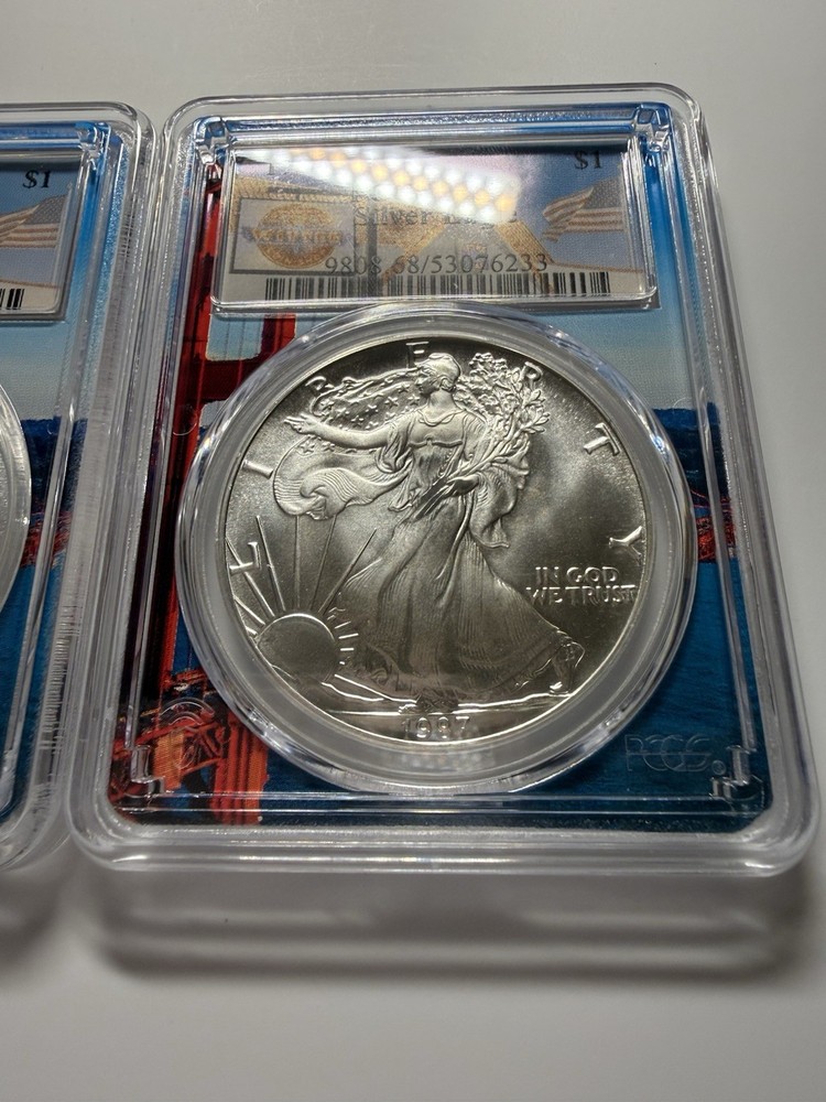 Silver Eagle MS68 1987 $1 PCGS Wittercoin Label Coin