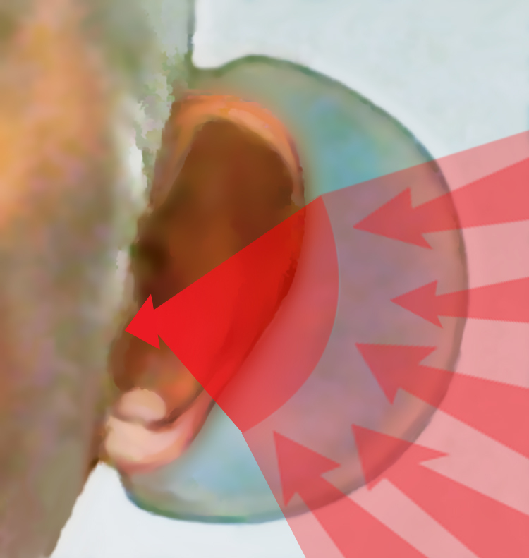 Earglasses® Personal Sound Reflectors, Set of Two Ear Cup Hearing Amplifiers New