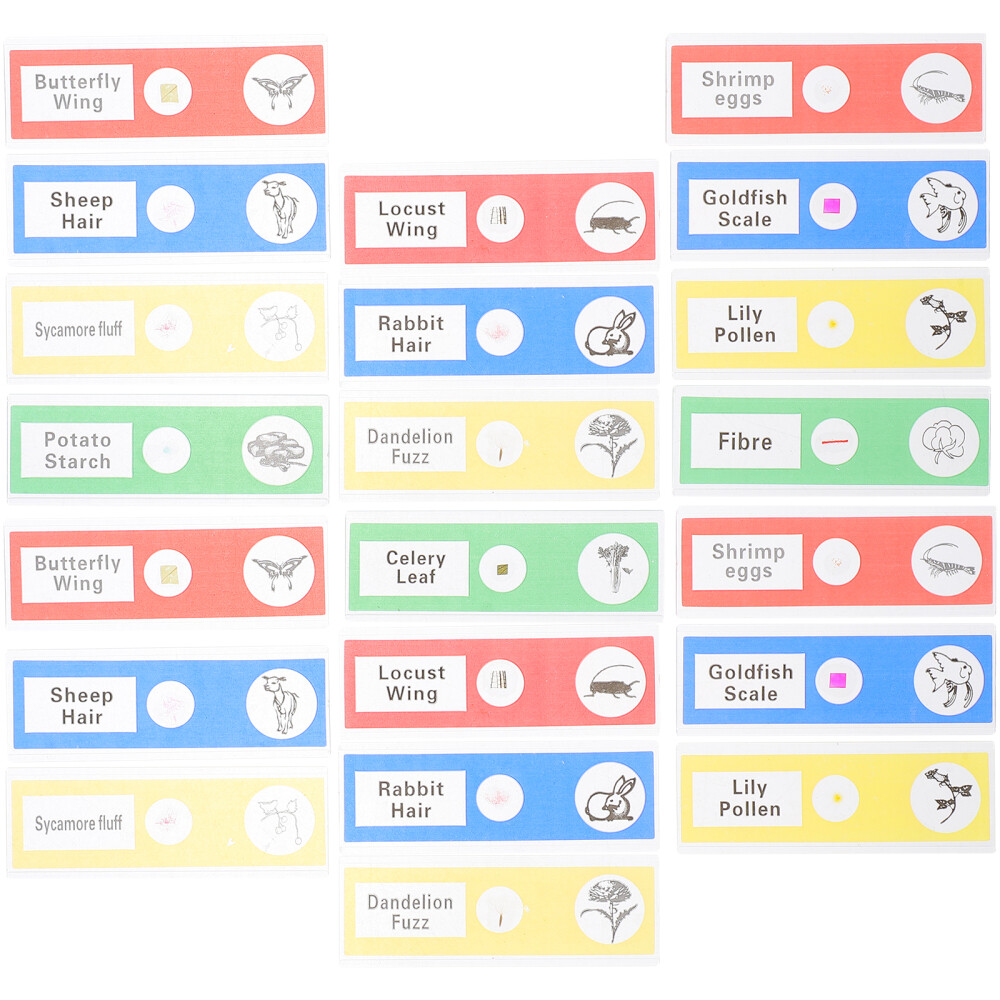 36 Pcs Microscope Slide for Science Education Biology Child