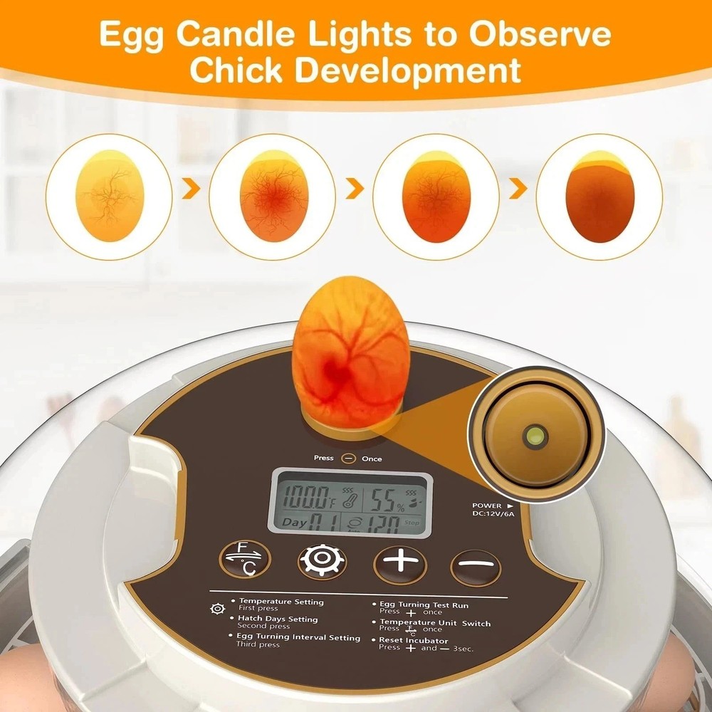 Incubators for Hatching Eggs,18 Egg Incubator with Automatic Egg Turning