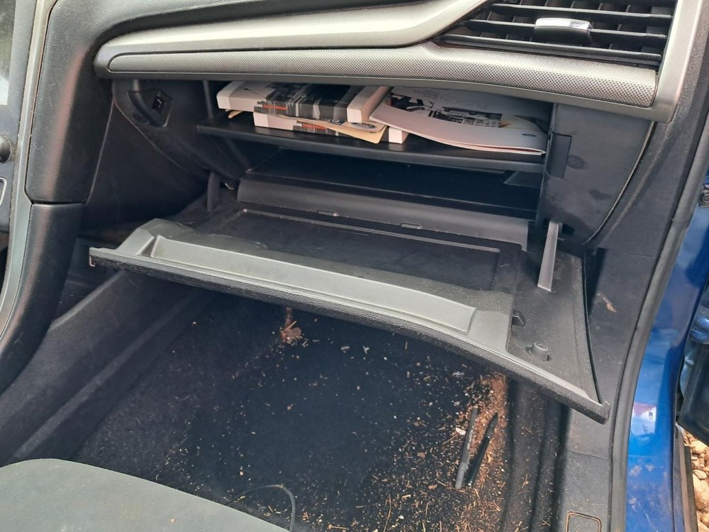 FUSION    2017 Glove Box 4818448