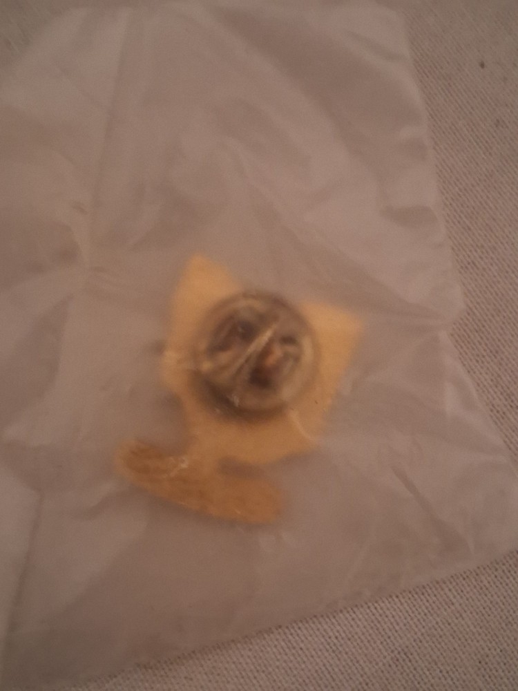 Vintage COTT Lapel Pin