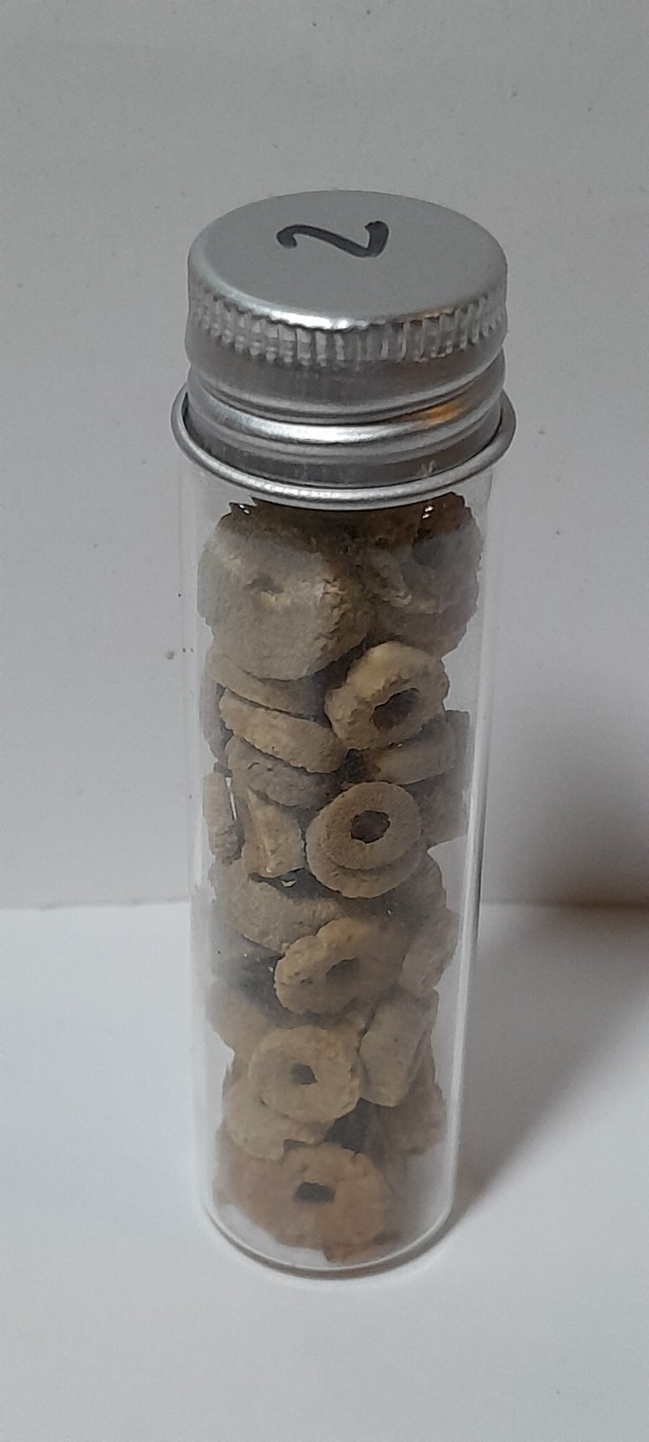 Lot of Crinoid Fossils in Jar 3" Tall