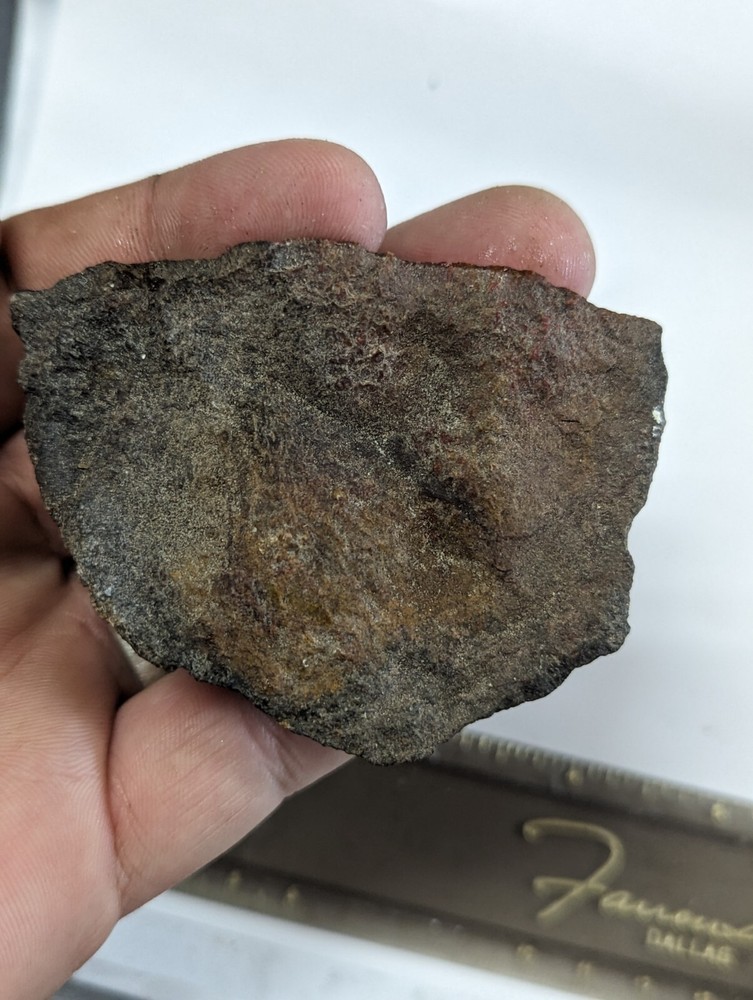Large Natural Rough Agatized Dino Bone Slab Utah Fossilized Dinosaur