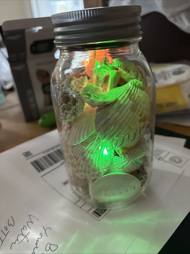 Shells In Lighted Jar