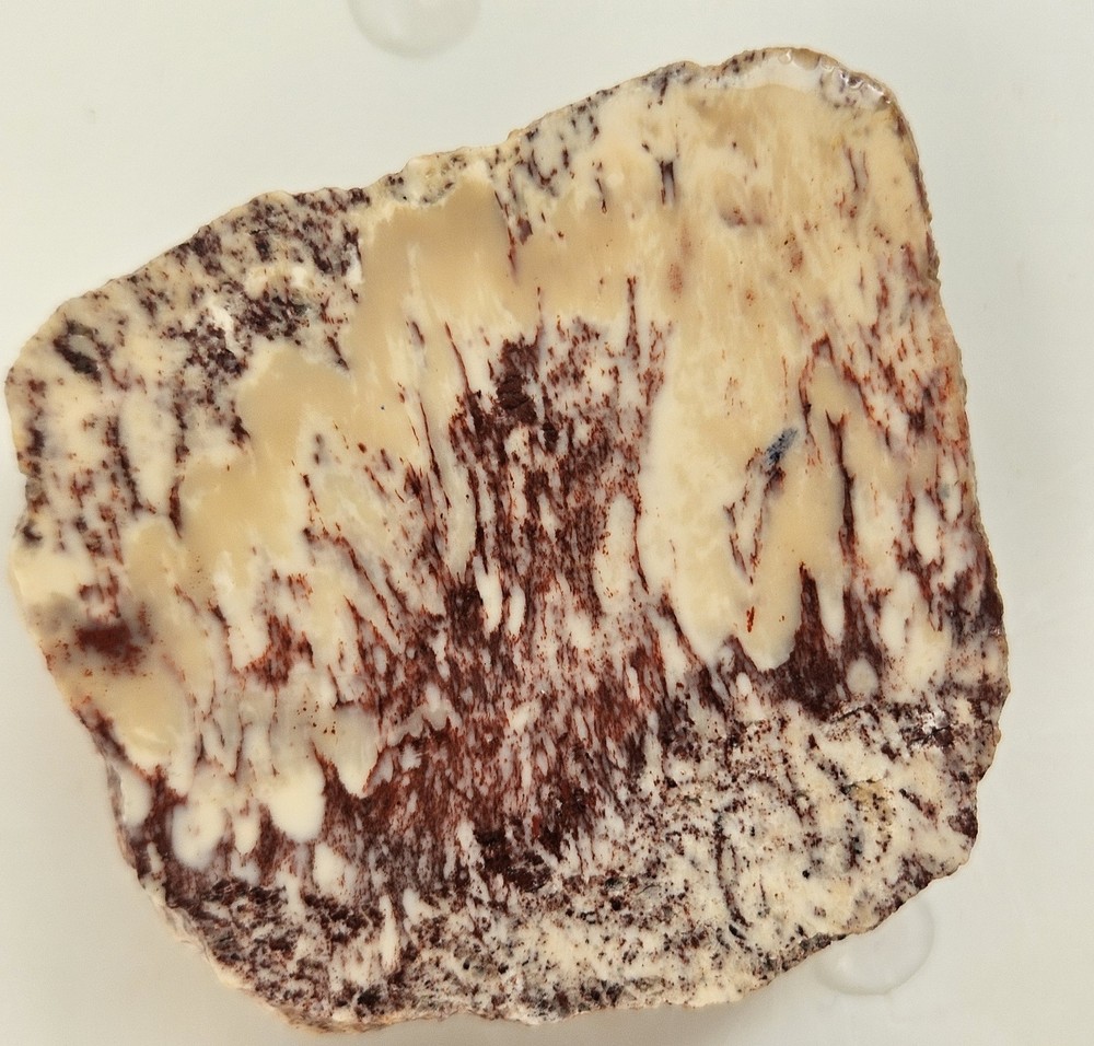 Alunite Lapidary Slabs 85 Grams