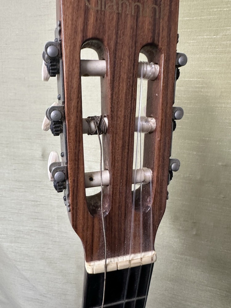 Giannini AWN60 Classical Guitar With Hard Case
